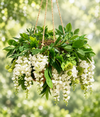 Green Garden Floral Chandelier