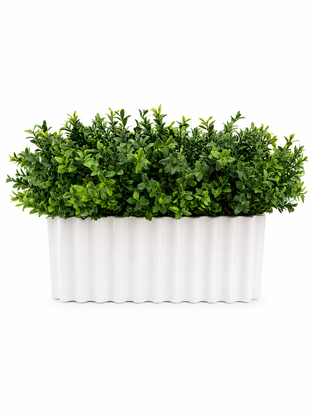 Boxwood Linear Ribbed Vase