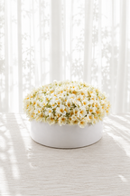 Cherry Blossom Bowl