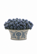Blue Thistle In Porcelain Bowl