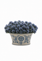 Blue Thistle In Porcelain Bowl