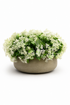 Ivory Mist Bowl