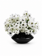Ivory Anemone Bowl