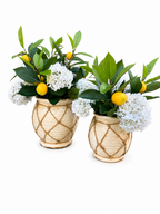 Lattice Rope Hydrangea Vase