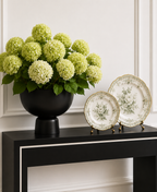 Lime Hydrangea in Black Pedestal