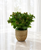 Lucky Berry Leaf In Grass Rope Planter