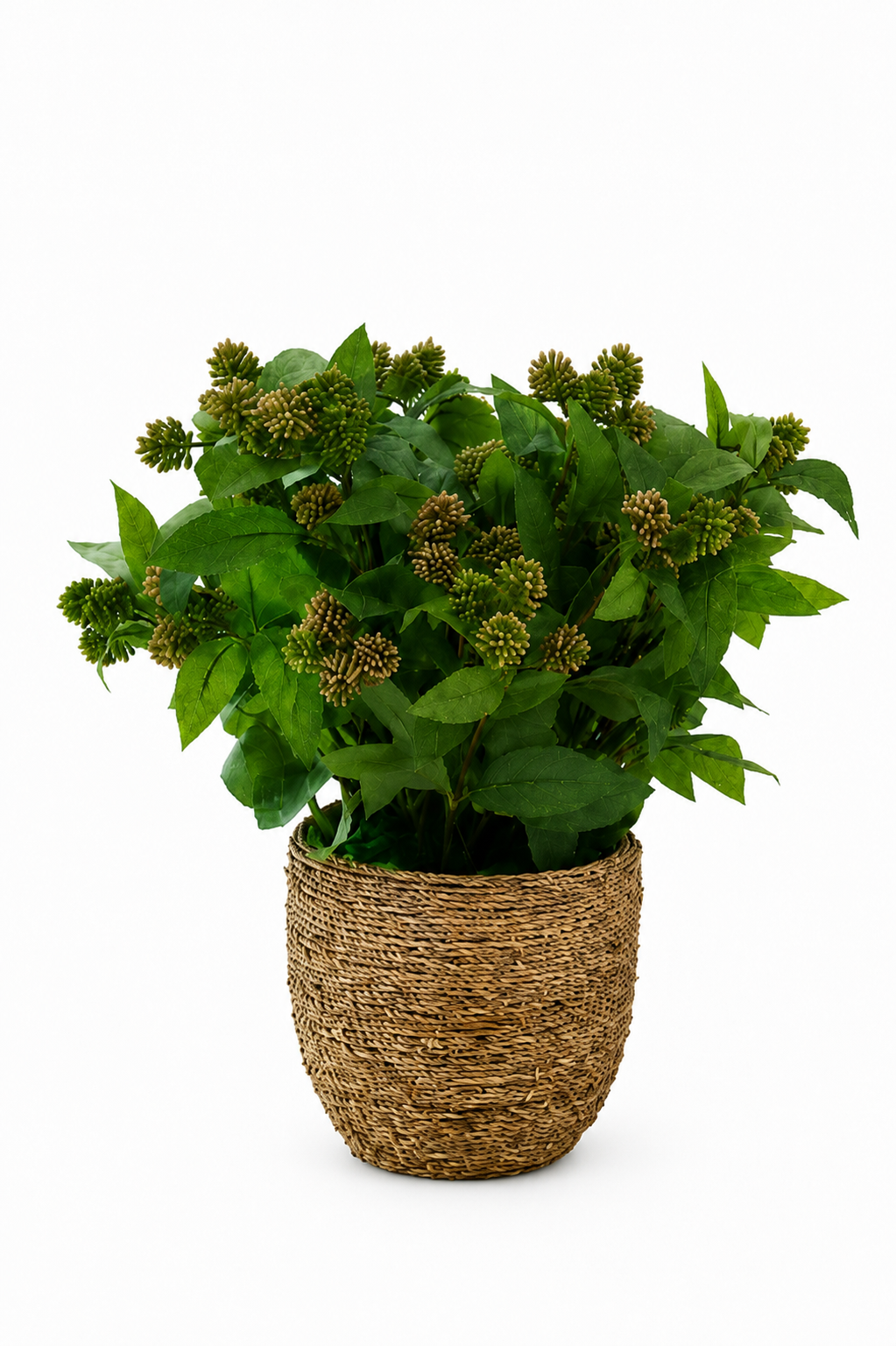 Lucky Berry Leaf In Grass Rope Planter