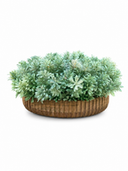Ocean Greenery Planter