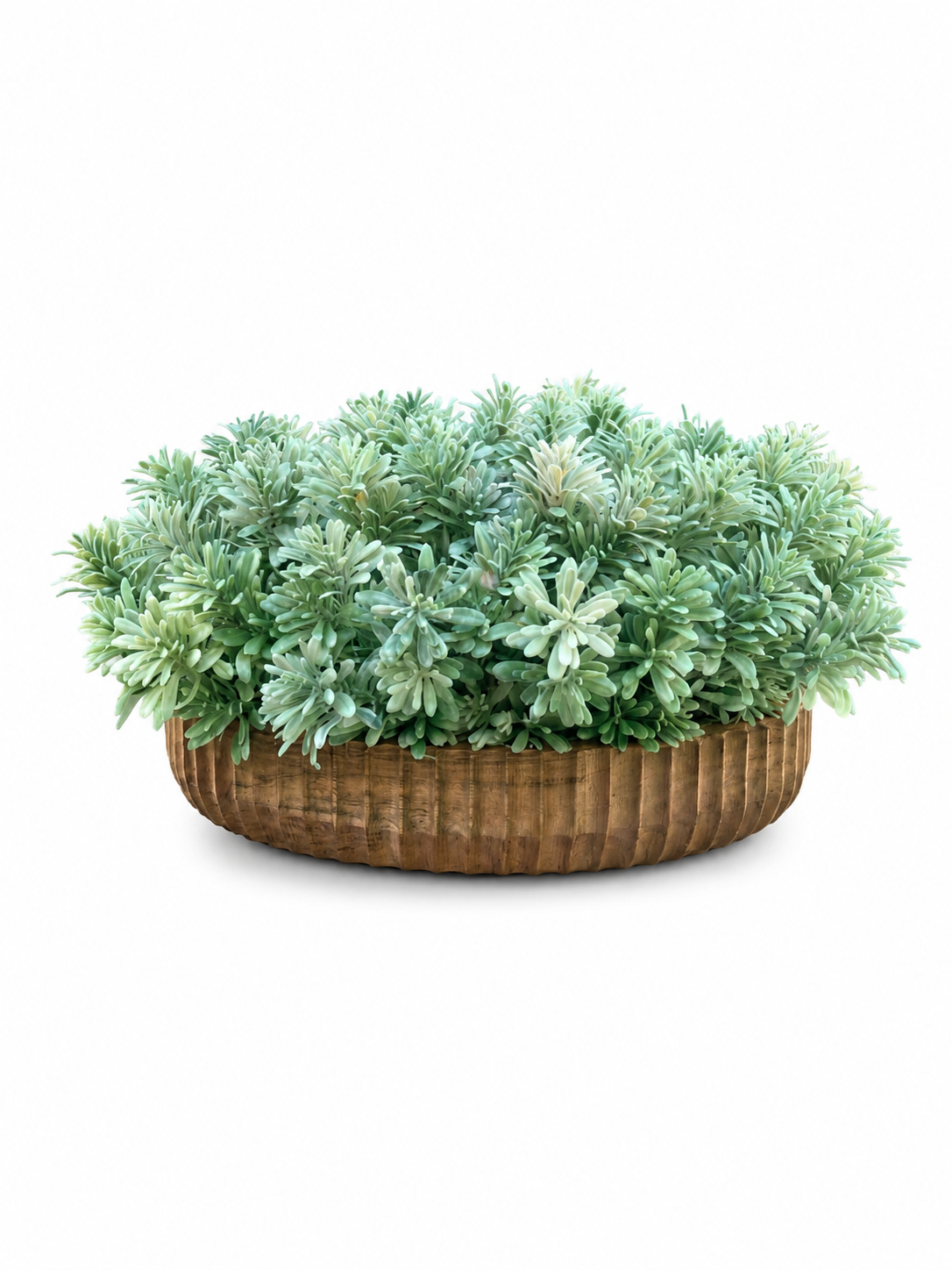 Ocean Greenery Planter