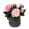 Petal Peony