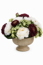 Ranunculus Luster Pedestal