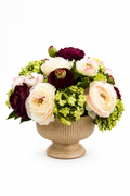 Ranunculus Luster Pedestal