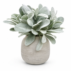 Silver Leaf Pot