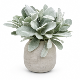 Silver Leaf Pot