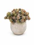 The Berry Luster Pot