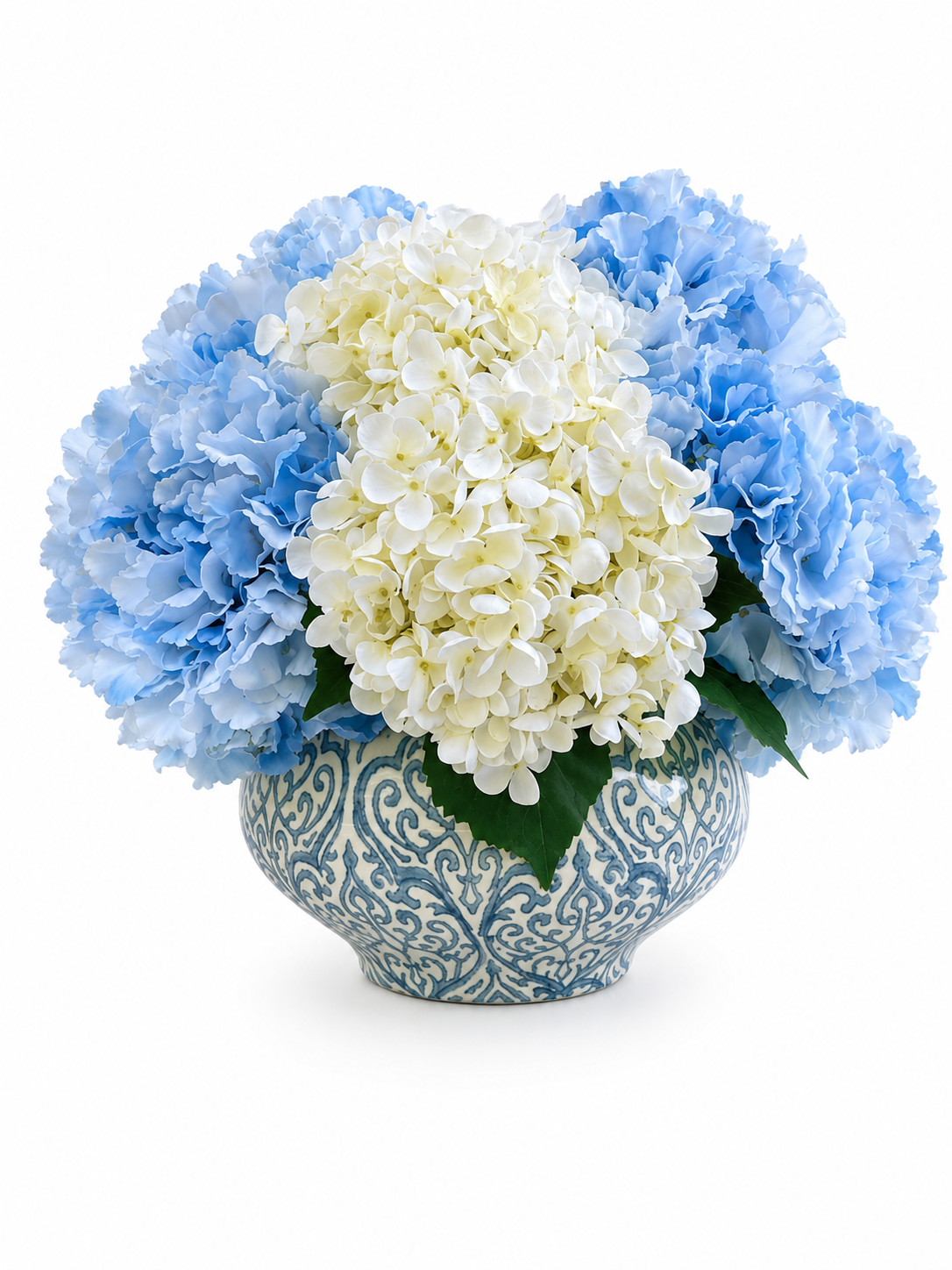 The Powder Blue Hydrangea