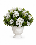 The White Meadow Pedestal
