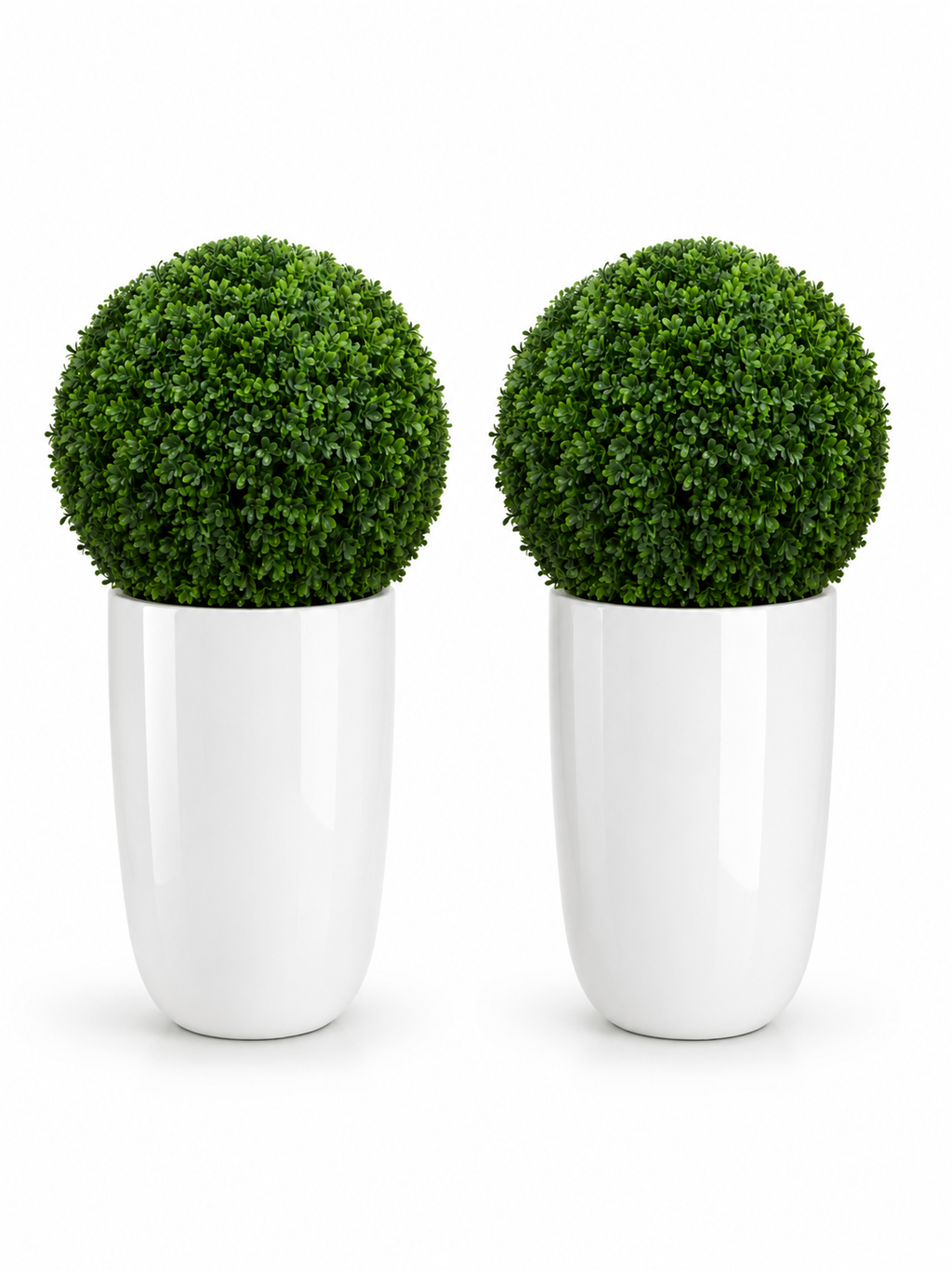 Ben Boxwood