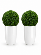 Ben Boxwood