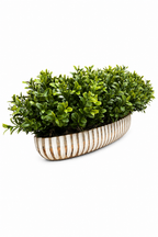 Boxwood Linear Boat