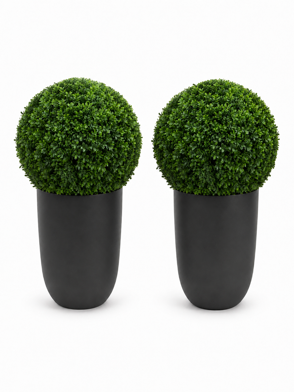 Ben Boxwood