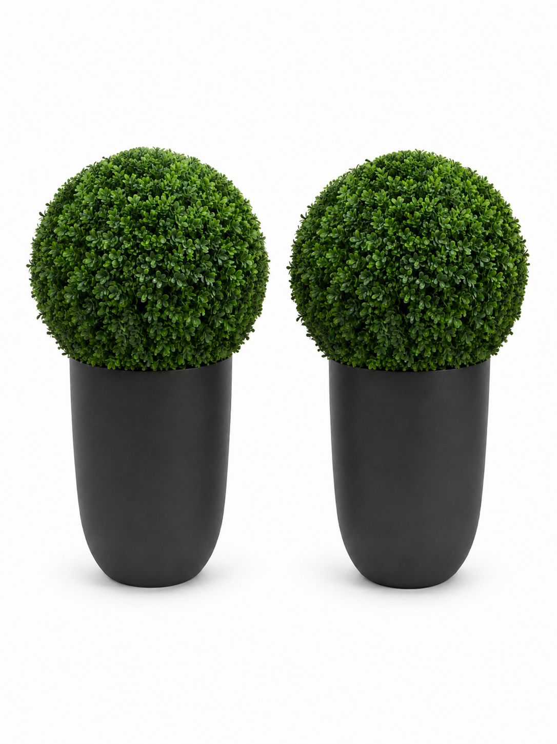Ben Boxwood