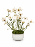 Light pink cosmo pot