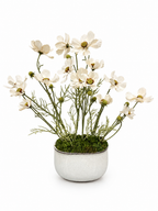 Light pink cosmo pot