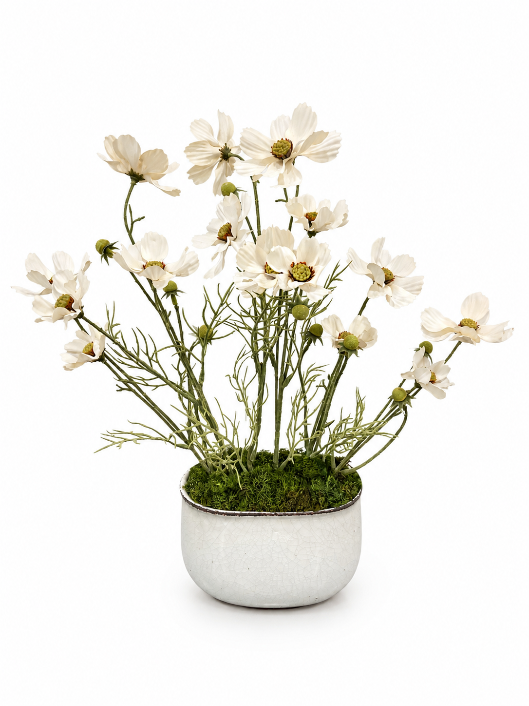 Light pink cosmo pot
