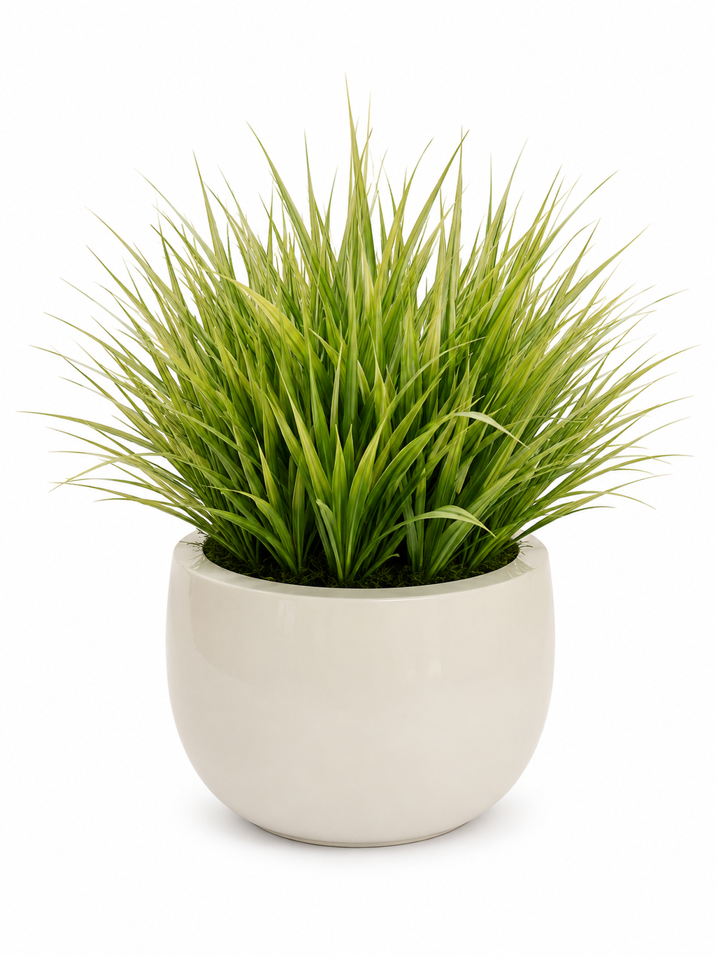 Aloha Grass High Gloss Planter