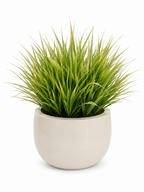 Aloha Grass High Gloss Planter