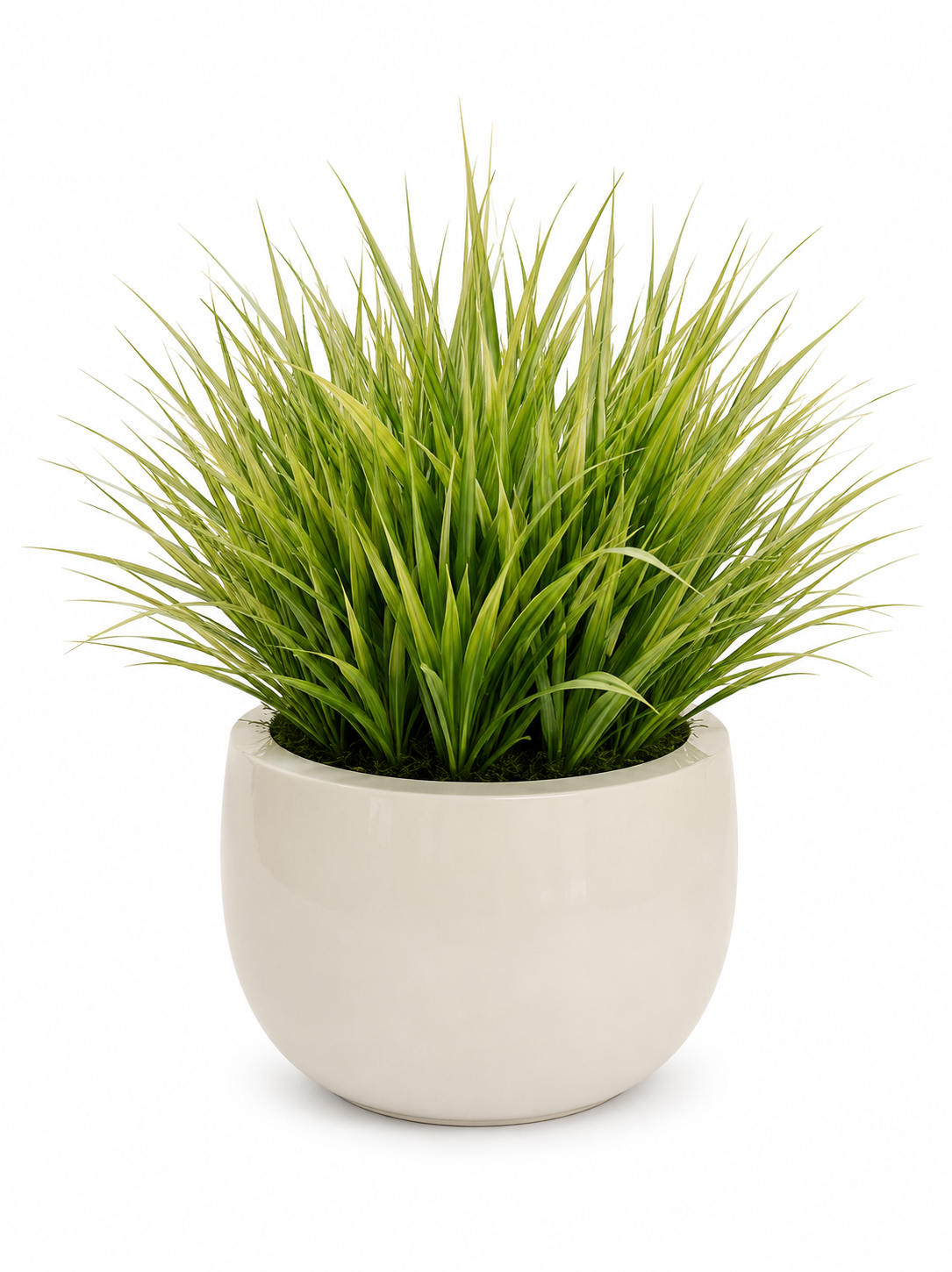 Aloha Grass High Gloss Planter