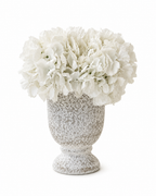 The White Hydrangea Urn