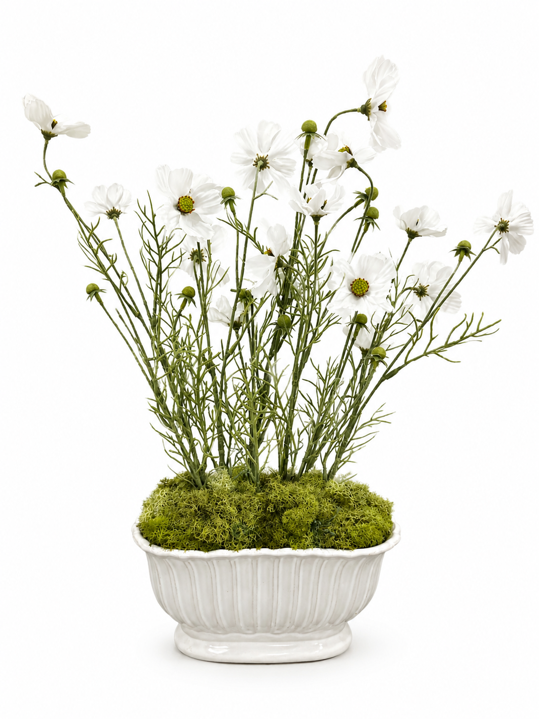 Whispering white cosmo